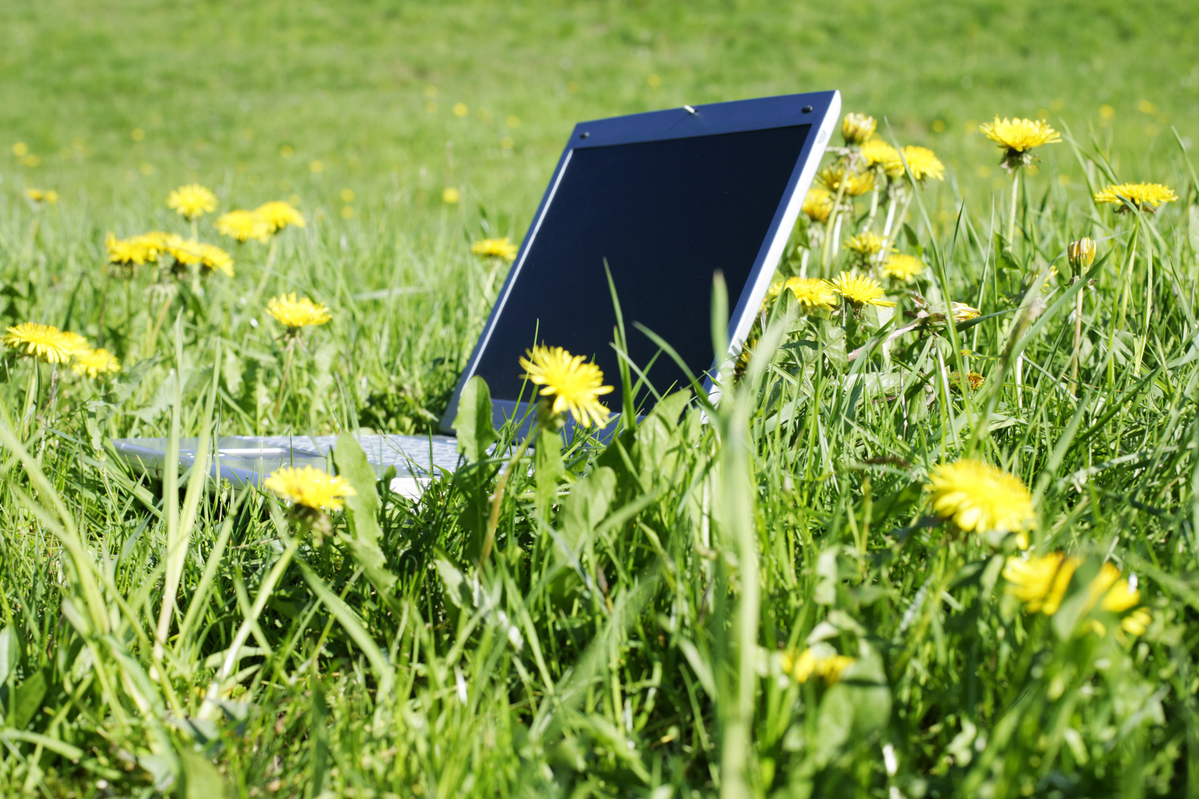 spring-technology-New-Jersey-and-Delaware