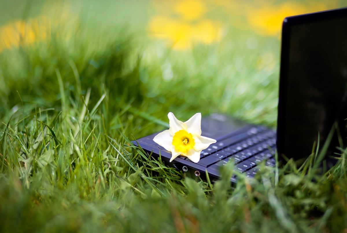 spring-IT-PCS