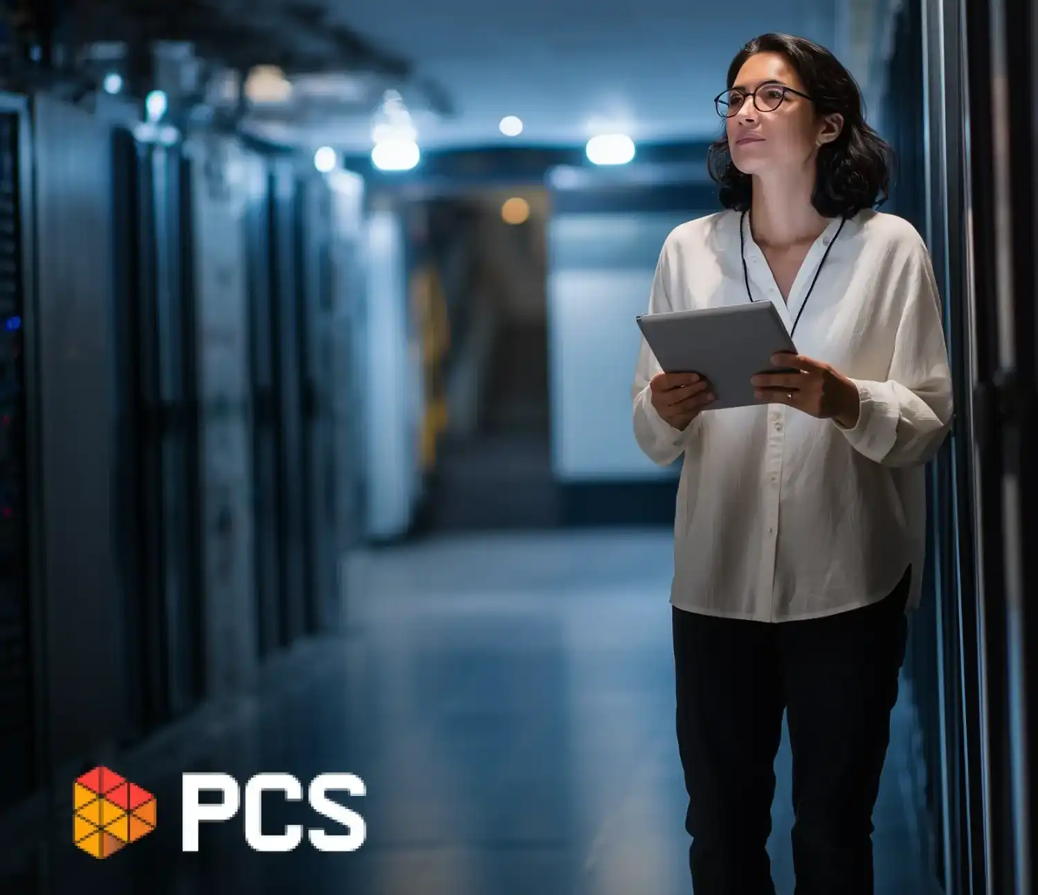 Legacy System Assessment services